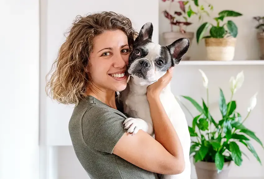 french bulldogs are the worst